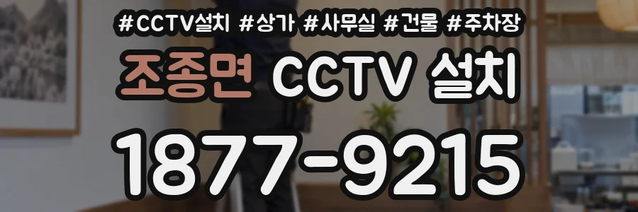 조종면 CCTV 설치