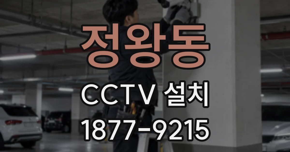 정왕동 CCTV 설치