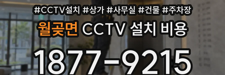 월곶면 CCTV 설치 비용