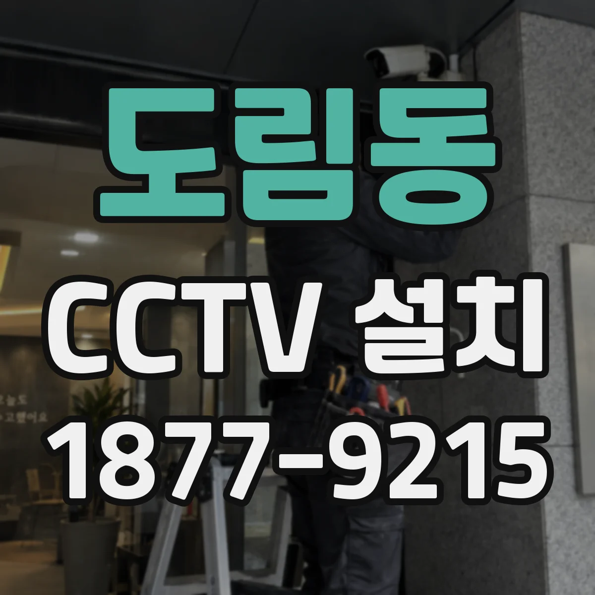 도림동 CCTV 설치