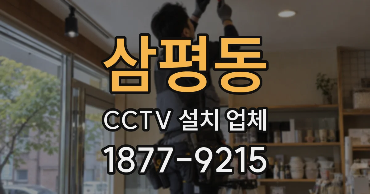 삼평동 CCTV 설치 업체