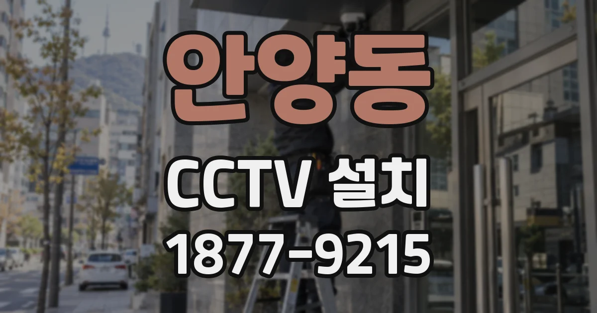 안양동 CCTV 설치