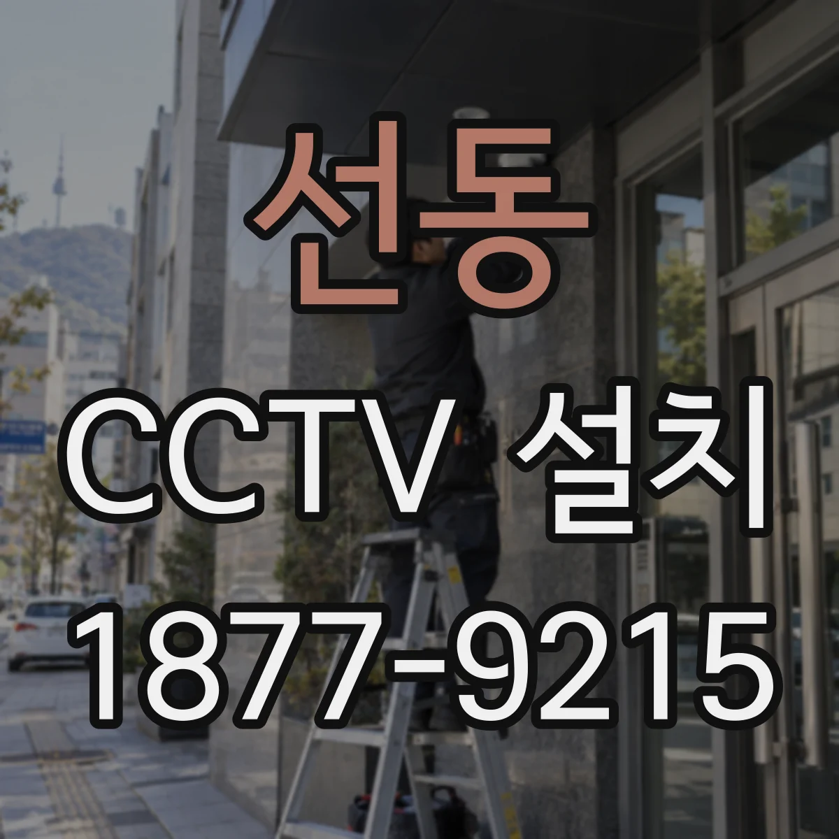 선동 CCTV 설치