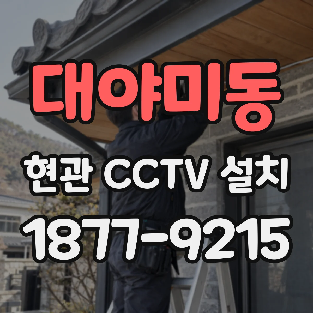대야미동 현관 CCTV 설치