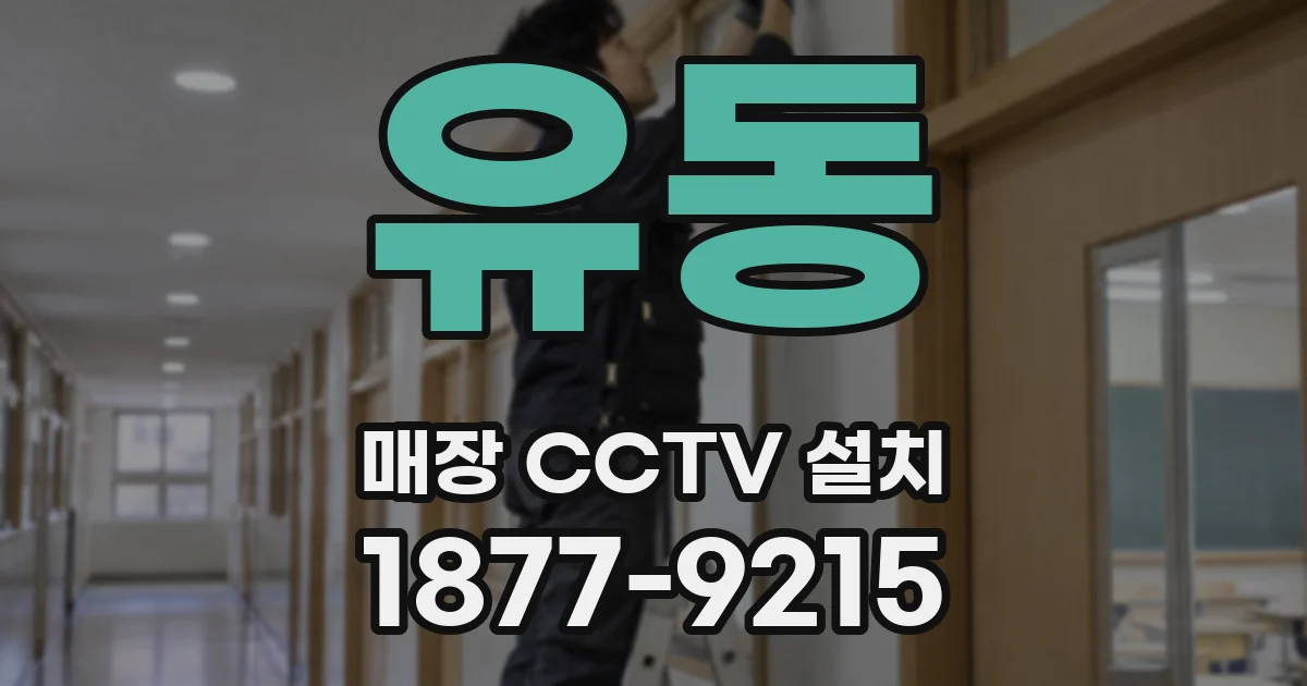 유동 매장 CCTV 설치