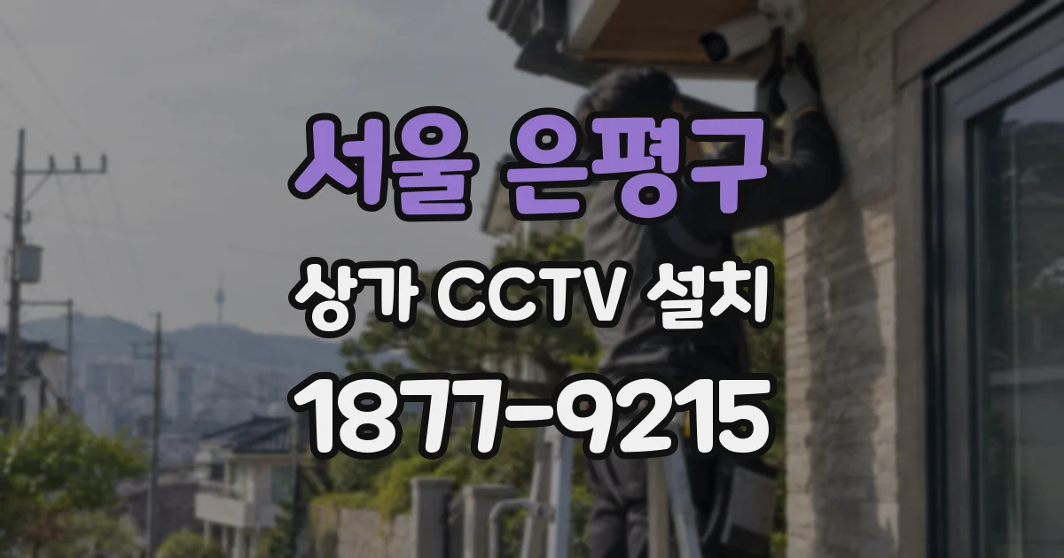 서울 은평구 상가 CCTV 설치