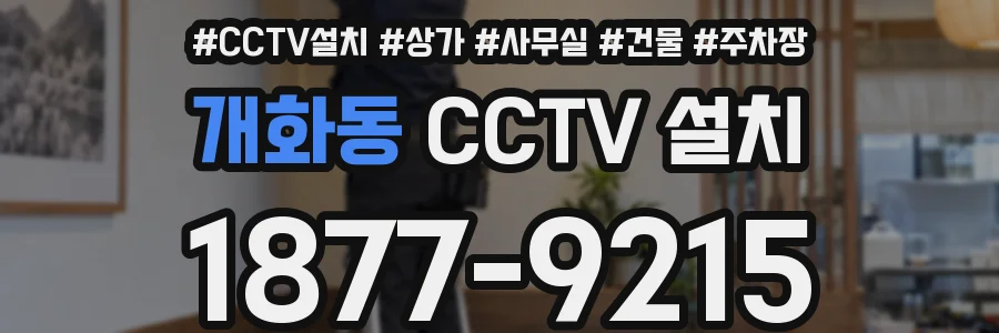 개화동 CCTV 설치