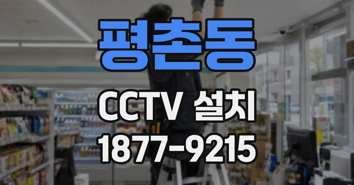 평촌동 CCTV 설치