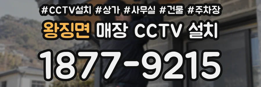왕징면 매장 CCTV 설치