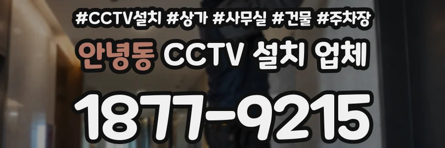 안녕동 CCTV 설치 업체