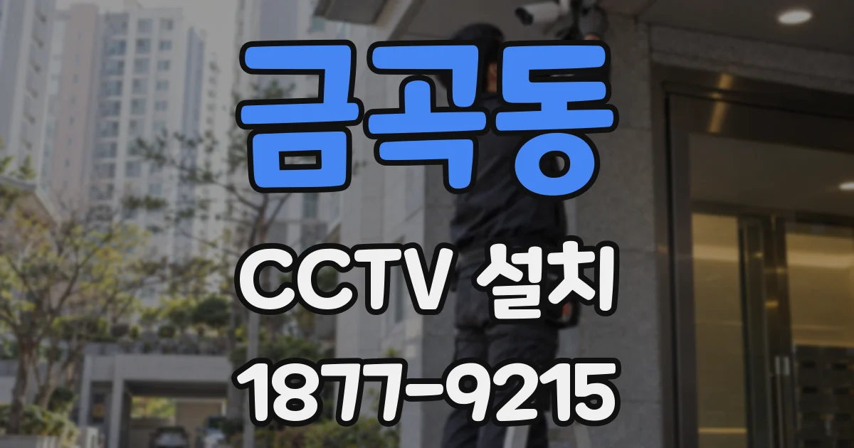 금곡동 CCTV 설치