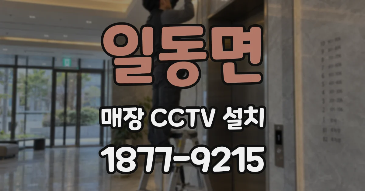 일동면 매장 CCTV 설치
