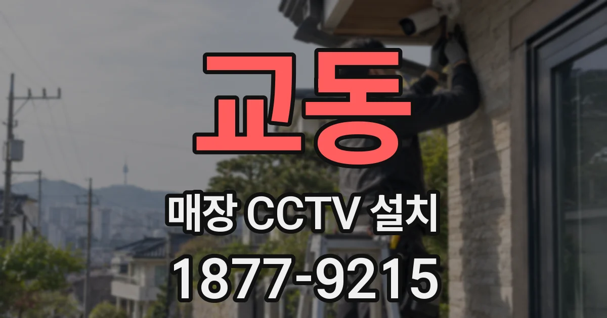 교동 매장 CCTV 설치