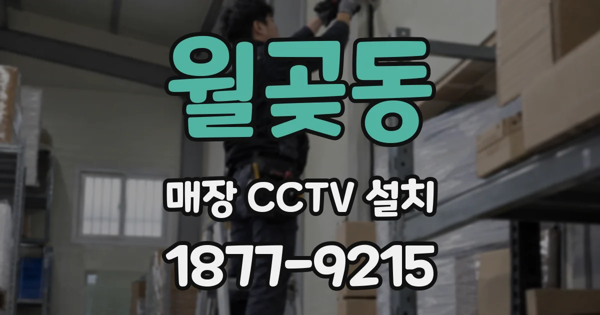 월곶동 매장 CCTV 설치