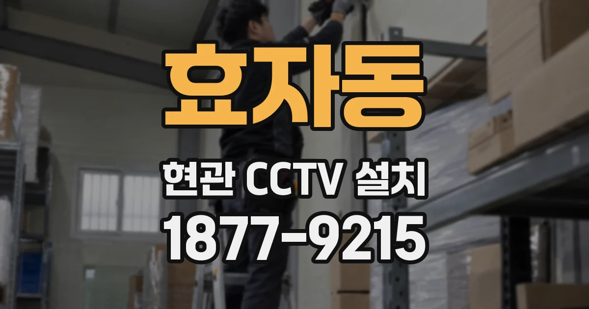 효자동 현관 CCTV 설치