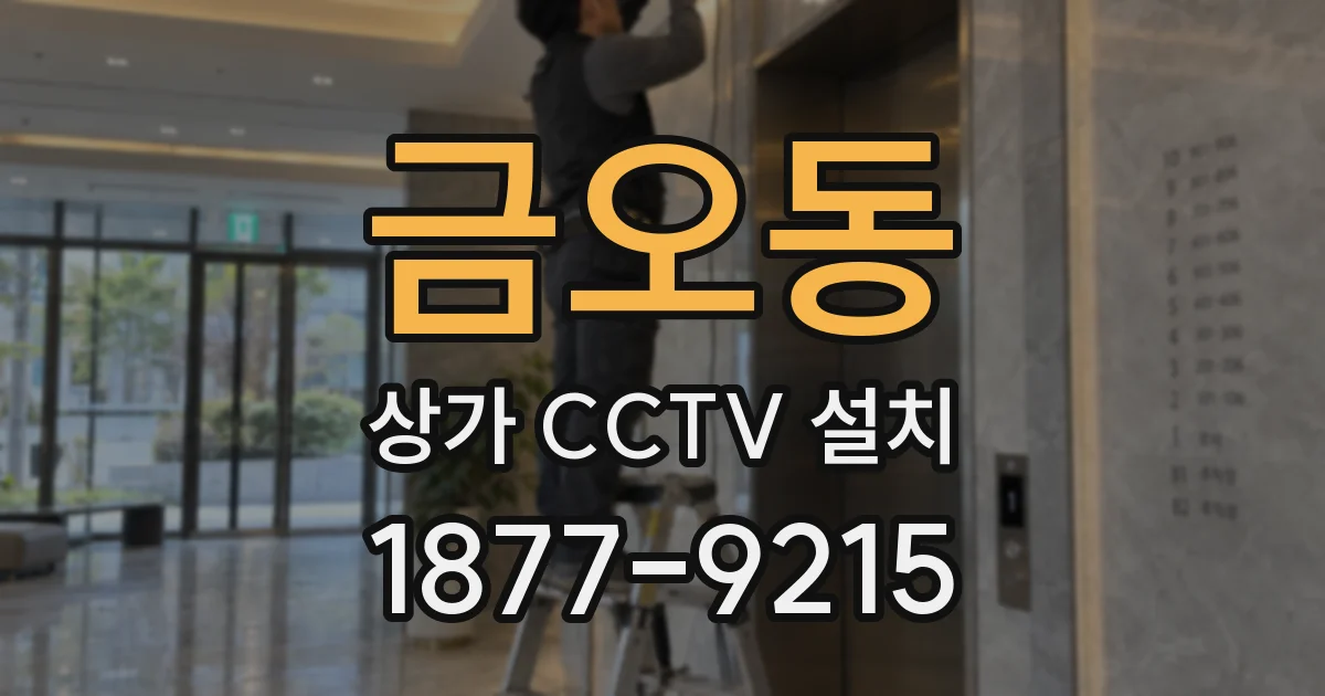 금오동 상가 CCTV 설치