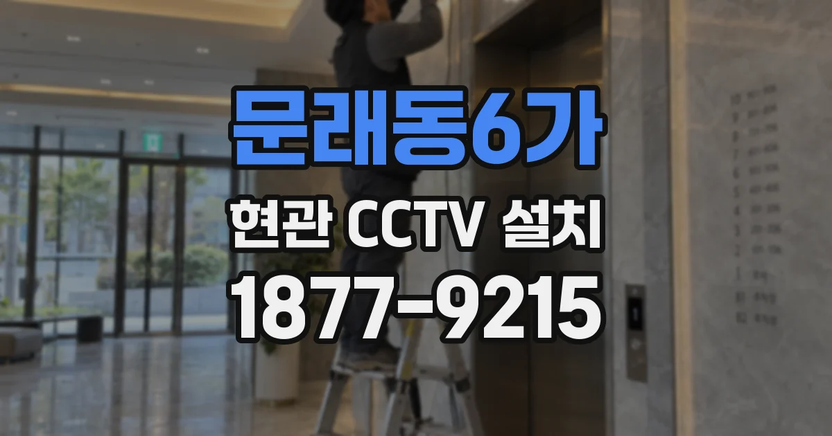 문래동6가 현관 CCTV 설치