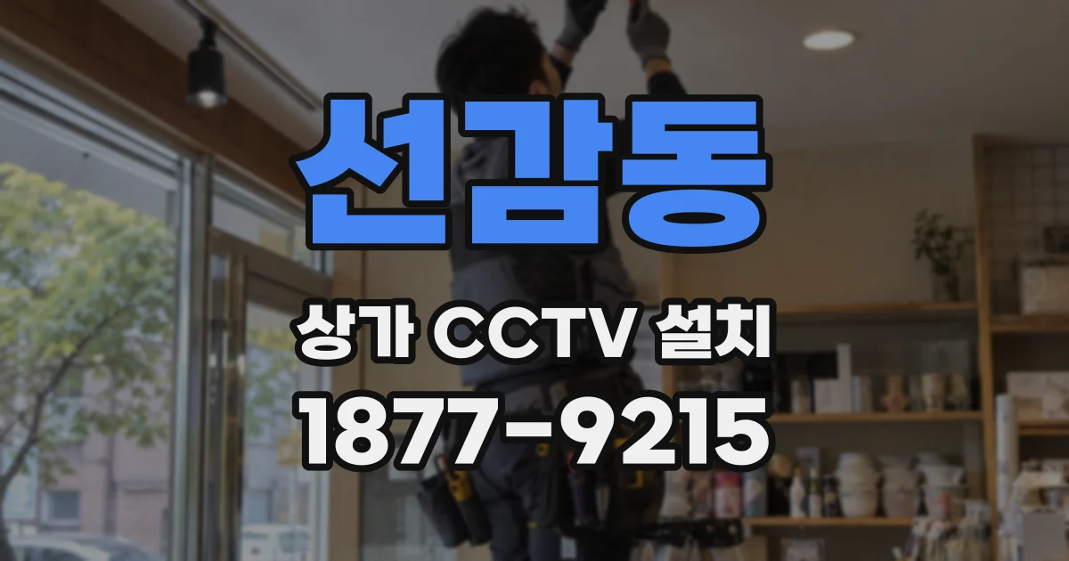 선감동 상가 CCTV 설치