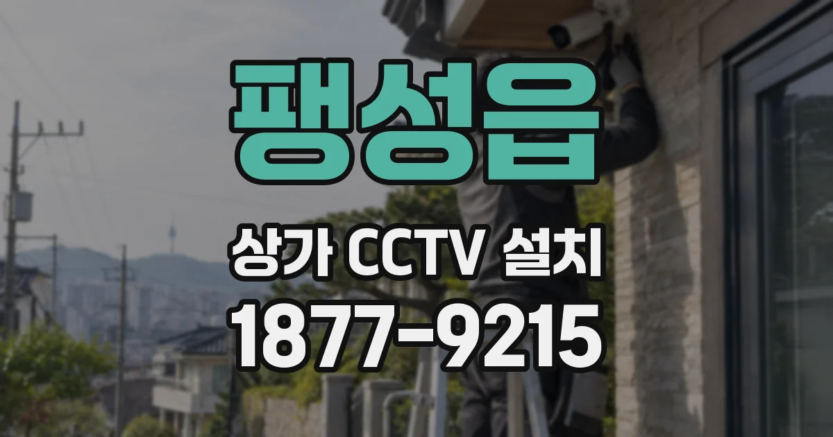 팽성읍 상가 CCTV 설치