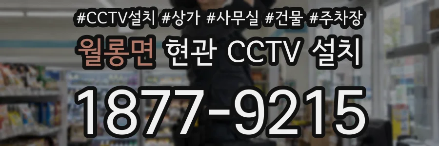 월롱면 현관 CCTV 설치