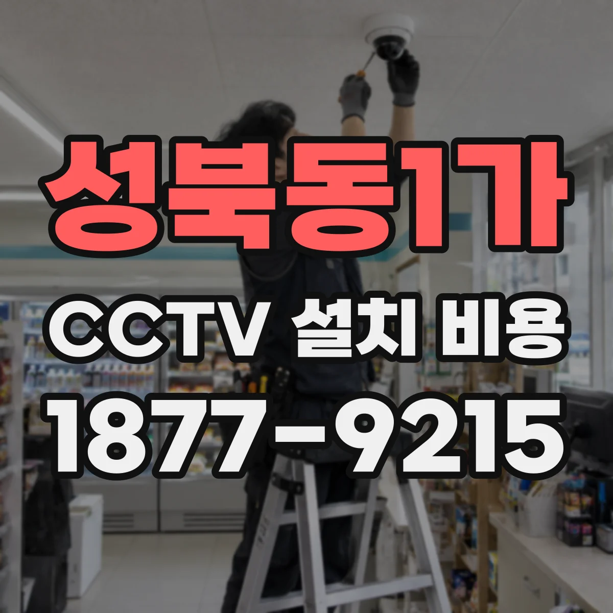 성북동1가 CCTV 설치 비용
