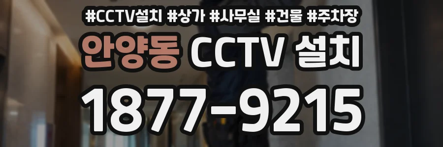 안양동 CCTV 설치