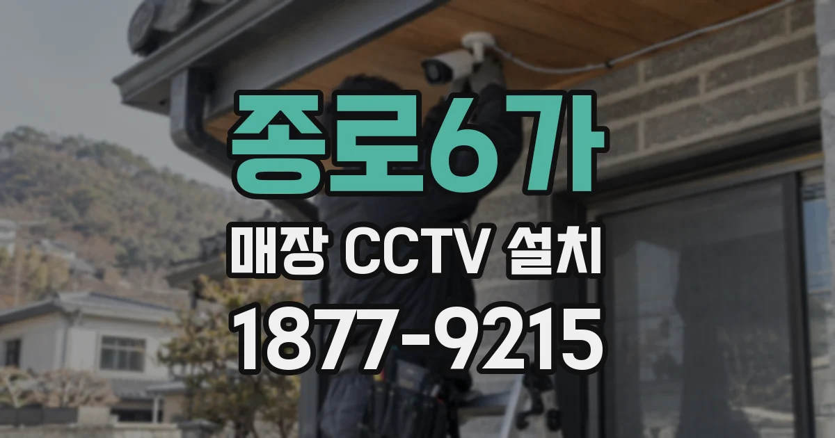 종로6가 매장 CCTV 설치