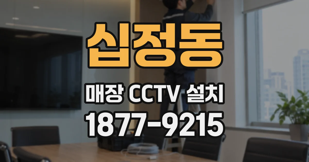 십정동 매장 CCTV 설치