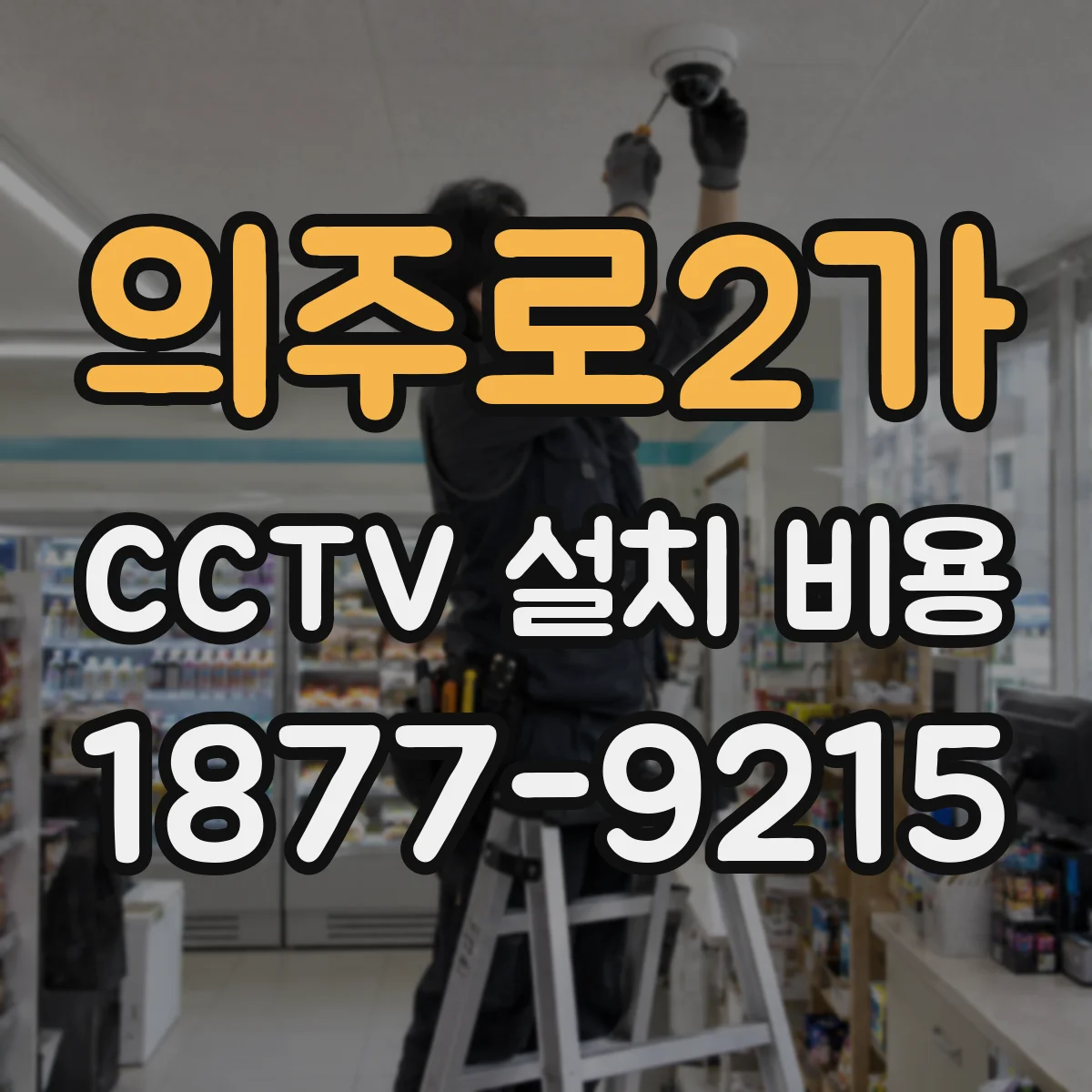 의주로2가 CCTV 설치 비용