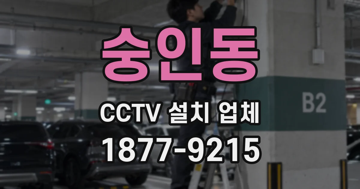 숭인동 CCTV 설치 업체