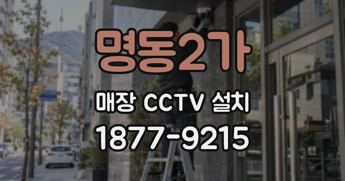 명동2가 매장 CCTV 설치
