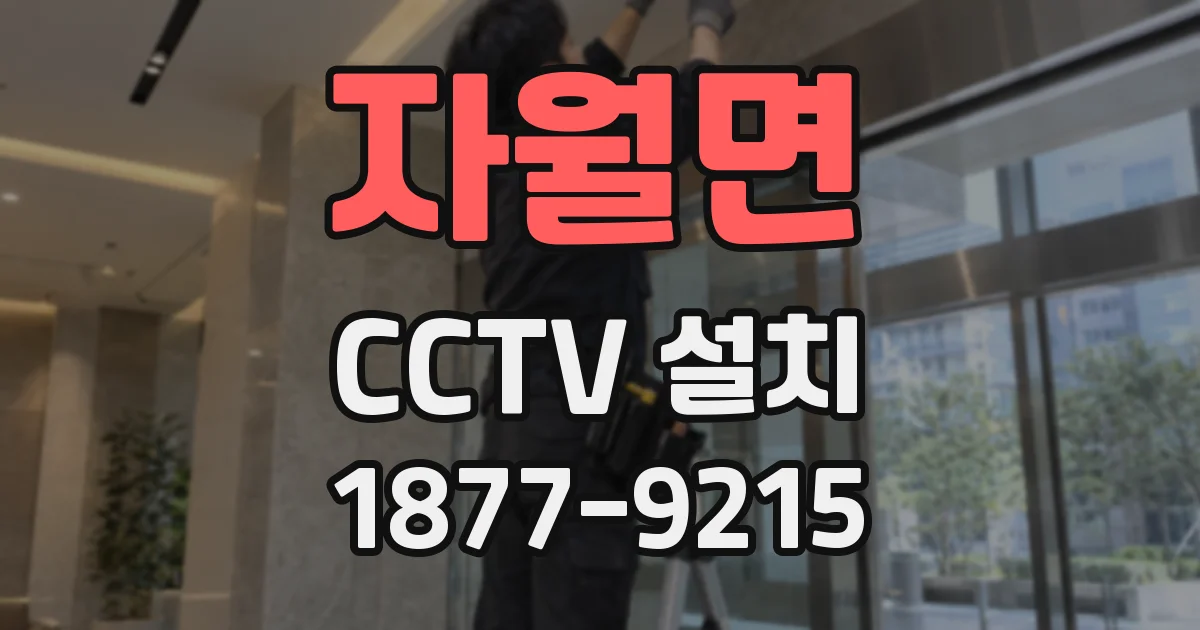 자월면 CCTV 설치