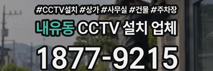 내유동 CCTV 설치 업체