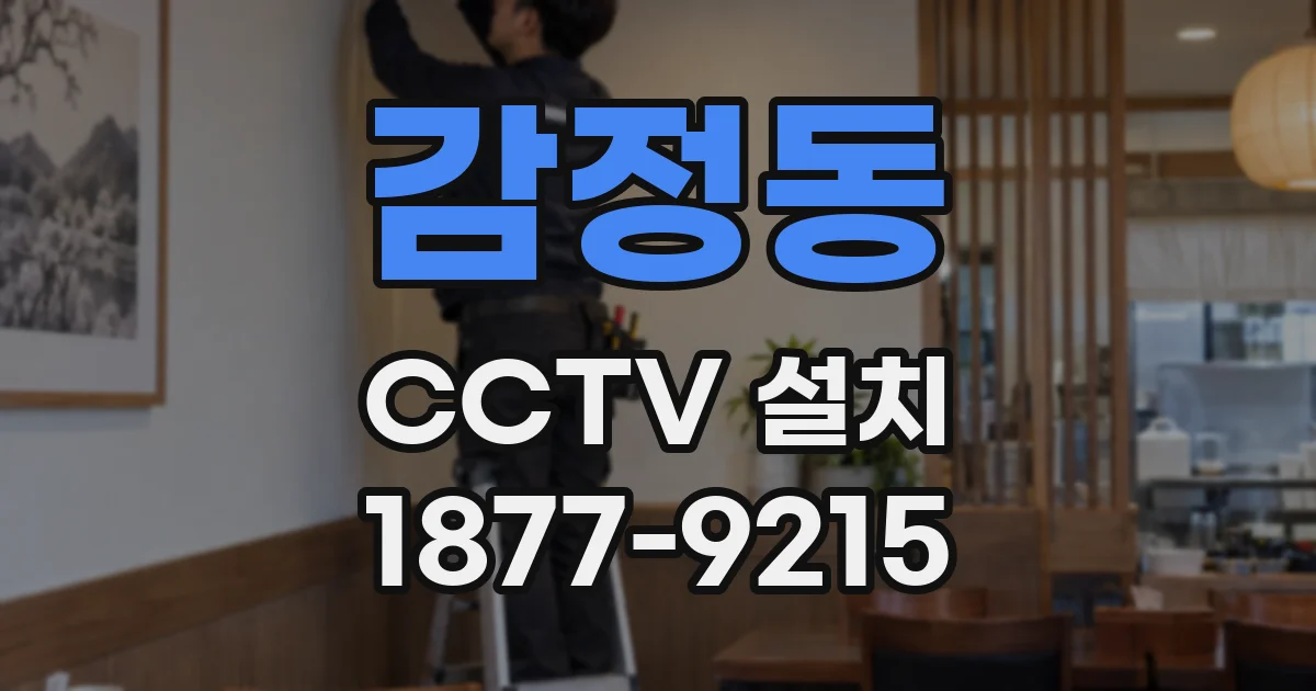감정동 CCTV 설치