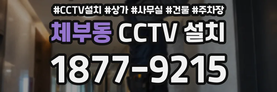 체부동 CCTV 설치
