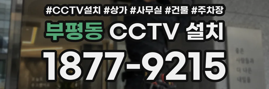 부평동 CCTV 설치