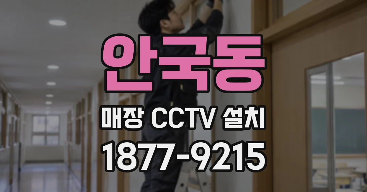 안국동 매장 CCTV 설치