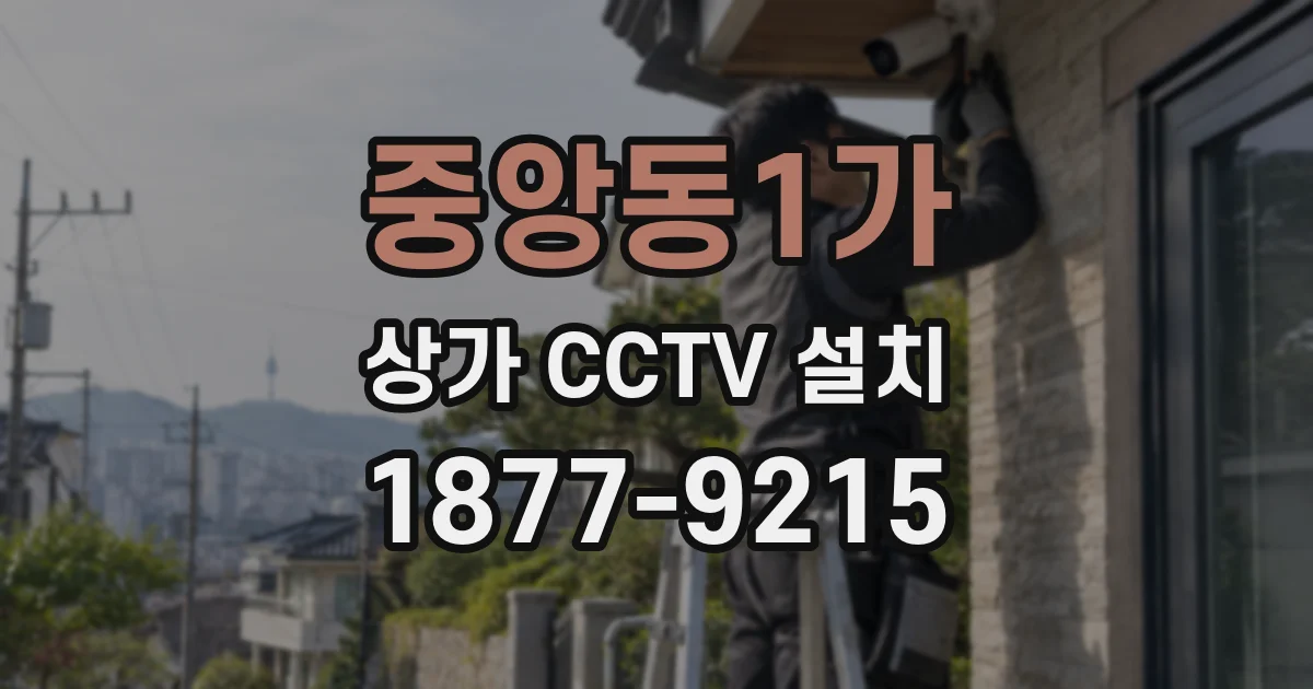 중앙동1가 상가 CCTV 설치
