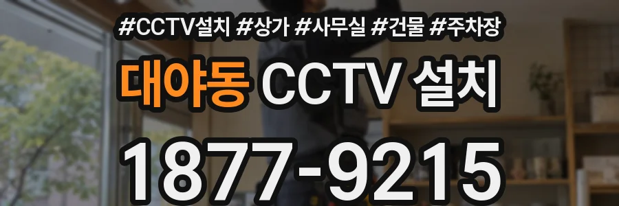 대야동 CCTV 설치