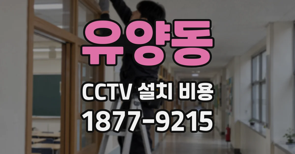 유양동 CCTV 설치 비용