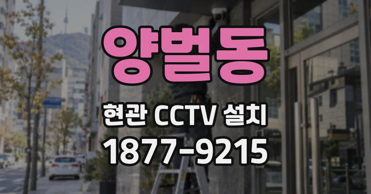 양벌동 현관 CCTV 설치