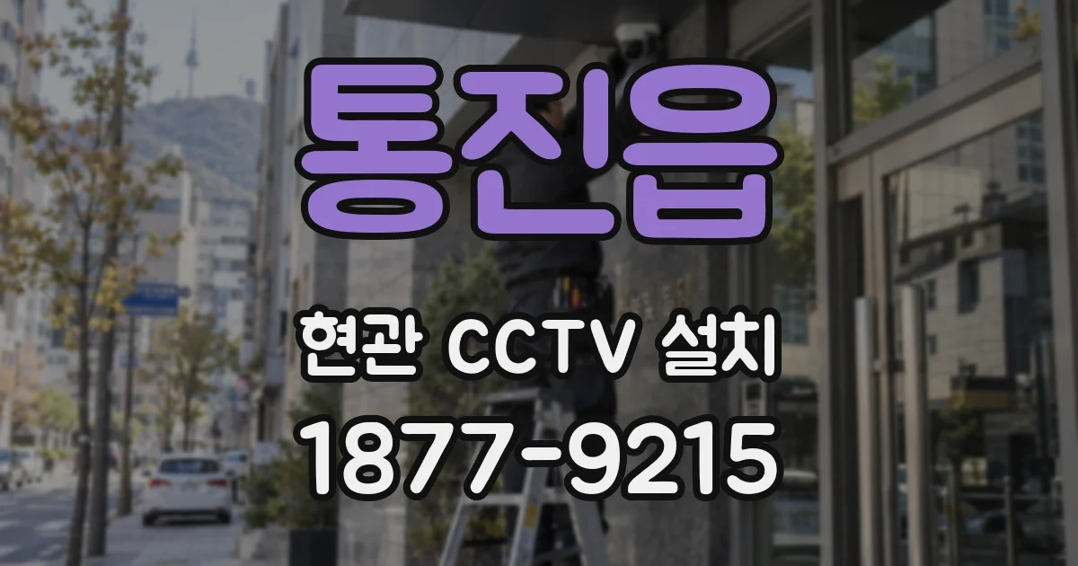 통진읍 현관 CCTV 설치