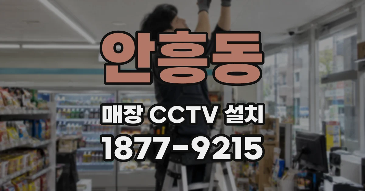 안흥동 매장 CCTV 설치