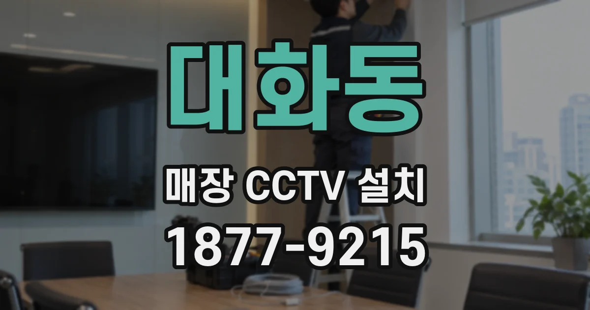 대화동 매장 CCTV 설치
