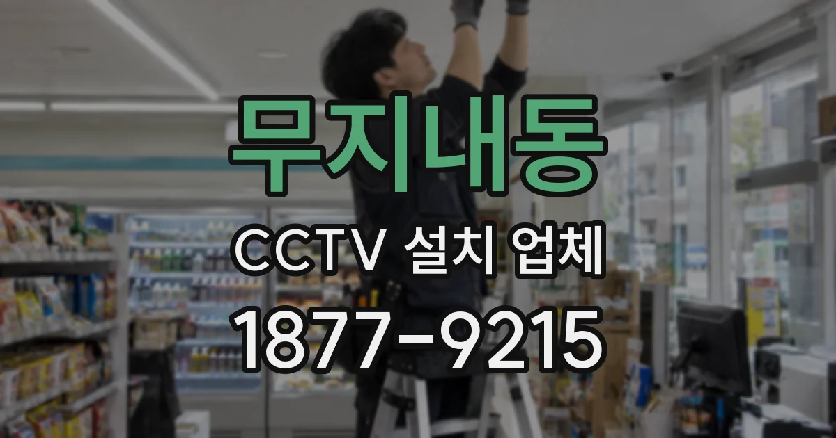 무지내동 CCTV 설치 업체
