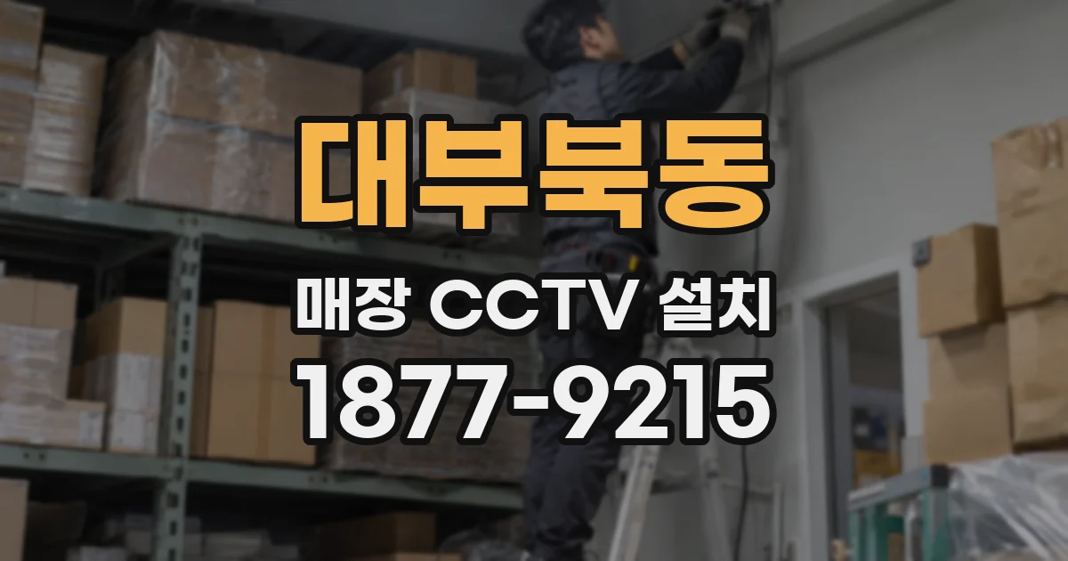 대부북동 매장 CCTV 설치