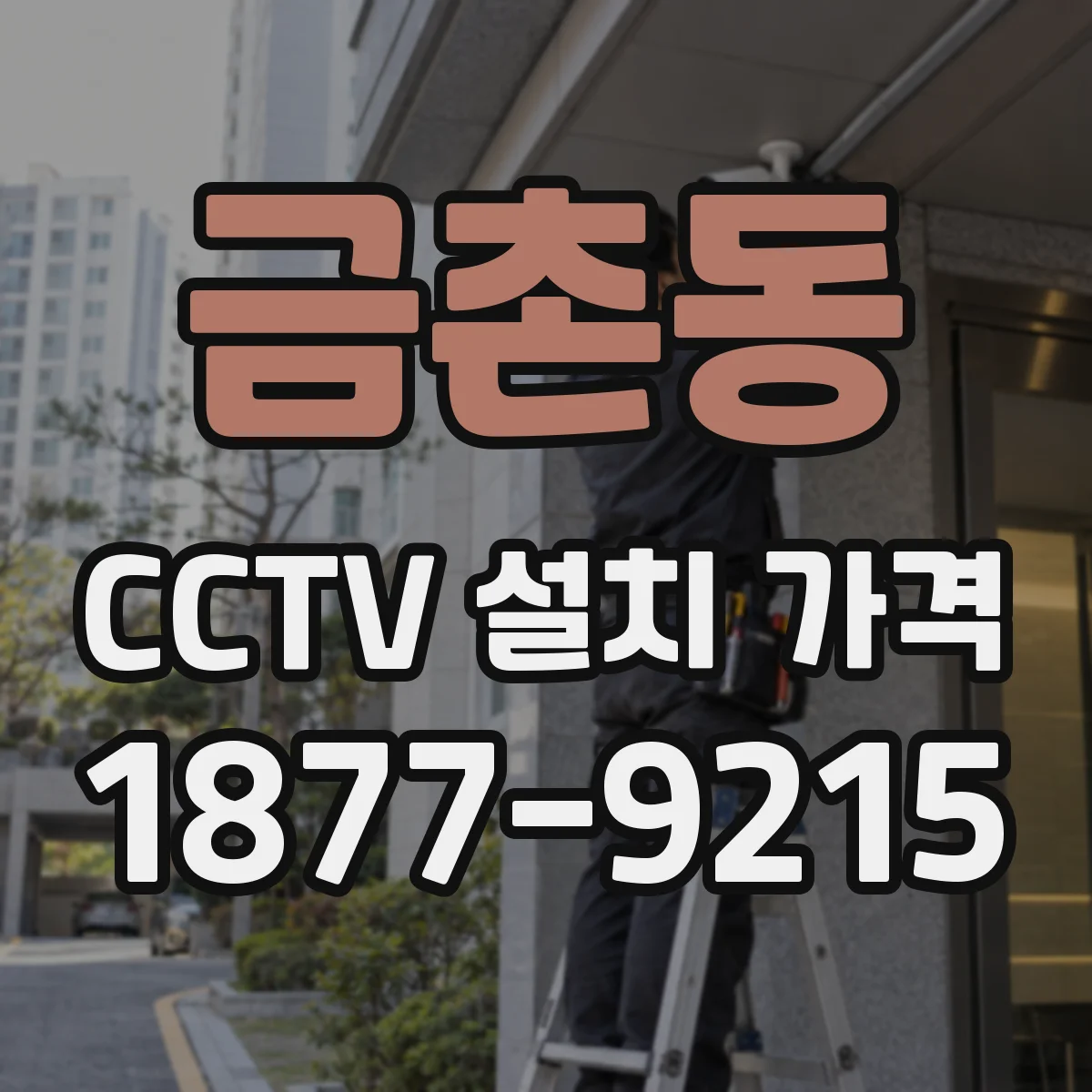 금촌동 CCTV 설치 가격