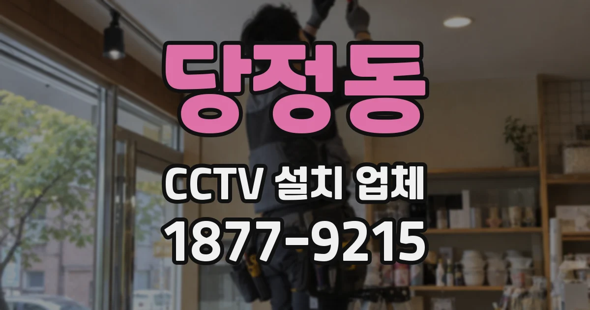 당정동 CCTV 설치 업체