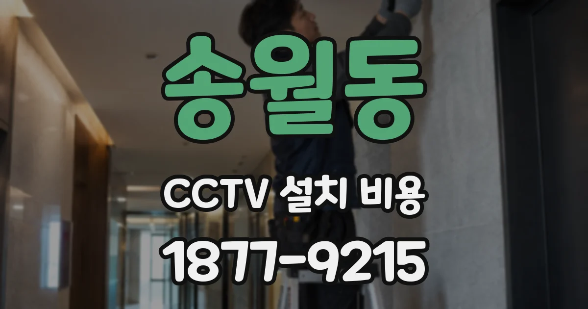 송월동 CCTV 설치 비용