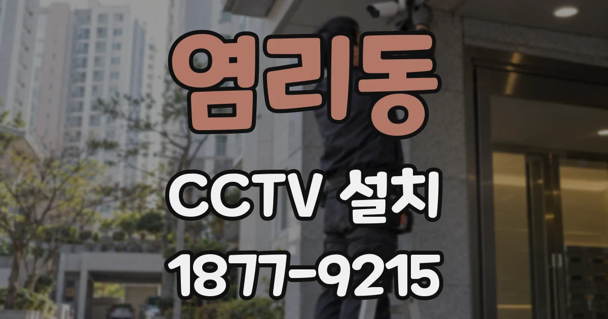 염리동 CCTV 설치